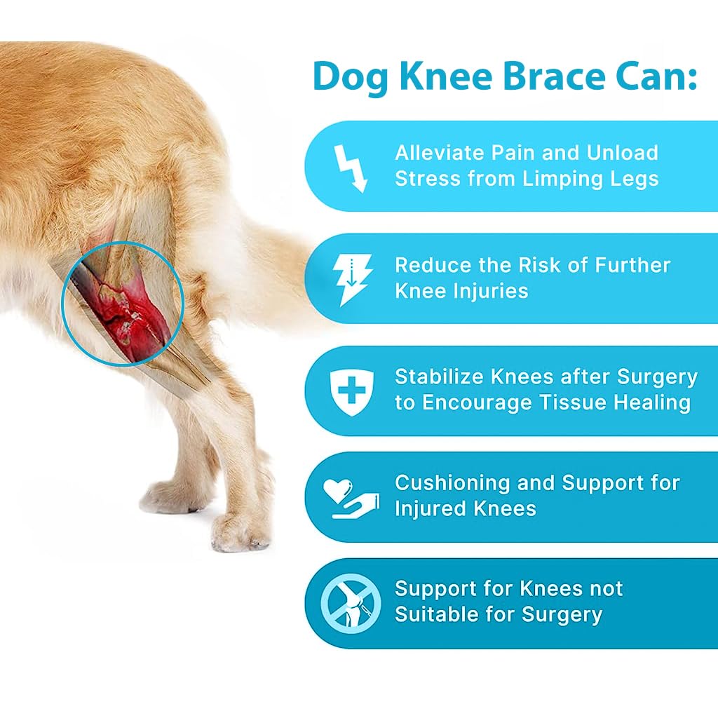 Qpets Dog Leg Brace, Leg Braces for Injured Dog Dog Leg Brace Support for Rehabilition, Adjustable Knee Support for Dog, Pet Knees Protector, Dog Hind Legs Brace for Large Dogs (Size: M) Qpets Dog Leg Brace, Leg Braces for Injured Dog Dog Leg Brace Support for Rehabilition, Adjustable Knee Support for Dog, Pet Knees Protector, Dog Hind Legs Brace for Large Dogs (Size: M)